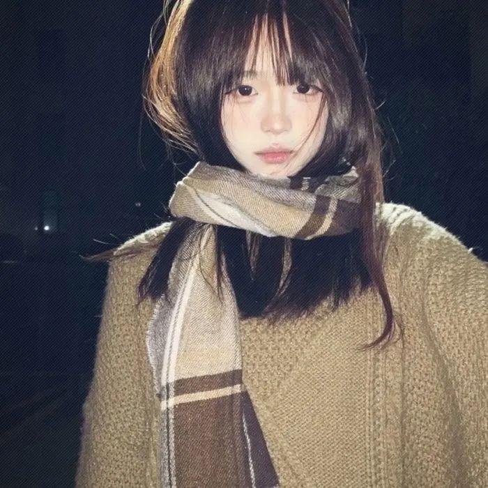 完美伴侣